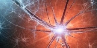 Les Royaumes de l’Intérieur